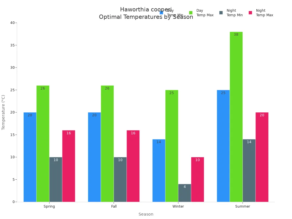 Grouped bar chart showing day and night temperature ranges for Haworthia cooperi across four seasons